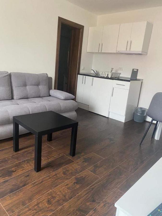 Apartment Kostic *