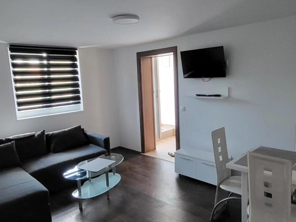 Kostic Apartment Zlatibor