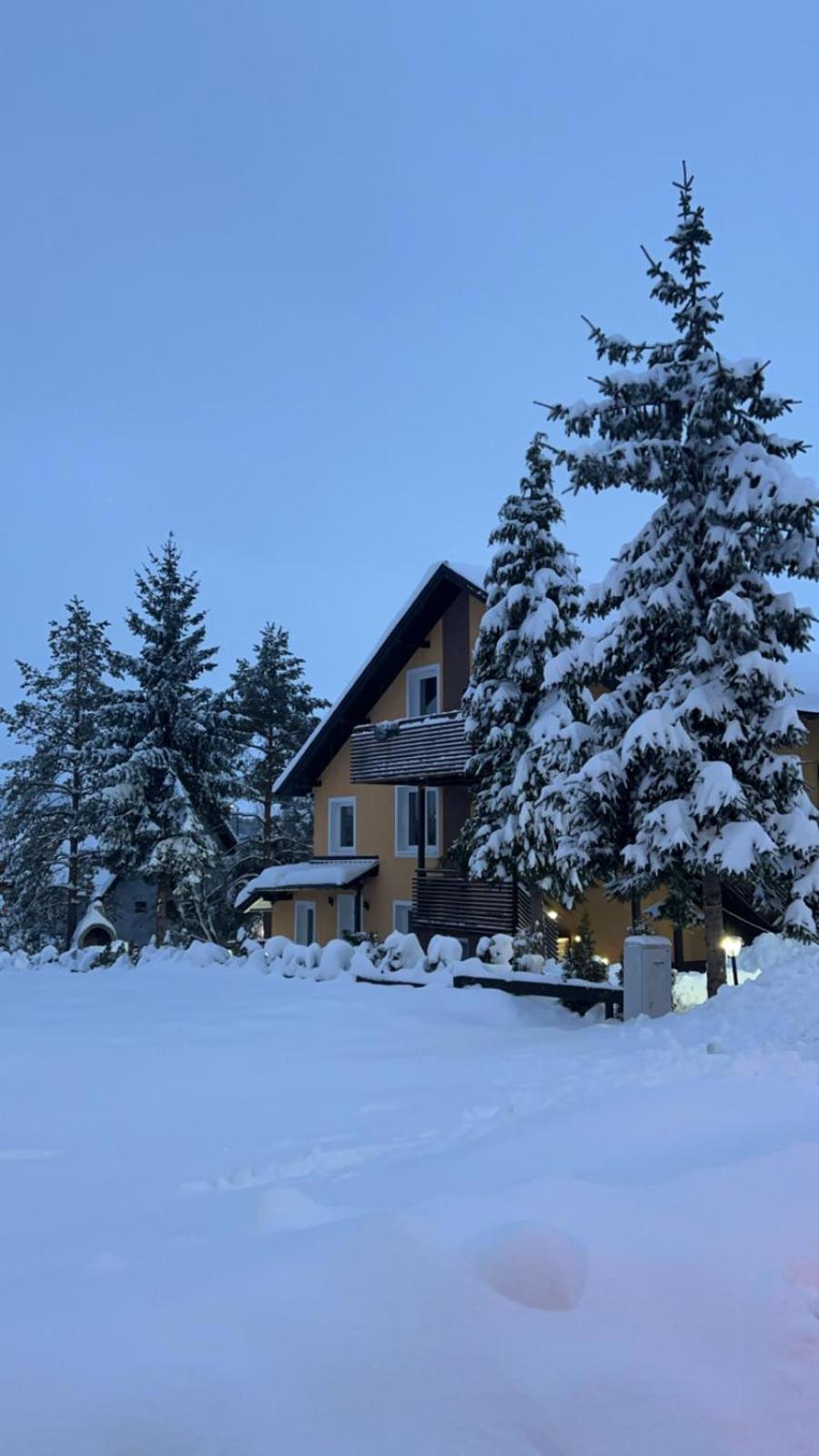 Apartment Kostic *